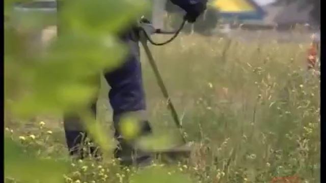 Дорожная служба приступила к выкашиванию газонов