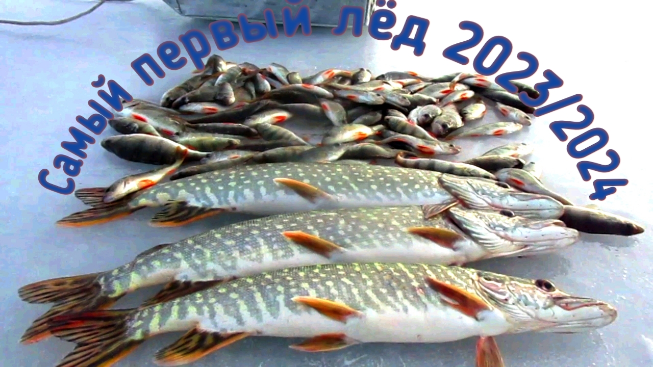 ВОЛШЕБНАЯ ЛУНКА РАЗДАЕТ ОКУНЕЙ! ОТЕЦ ОБЛАВЛИВАЕТ МЕНЯ И ЛОВИТ ЩУК!