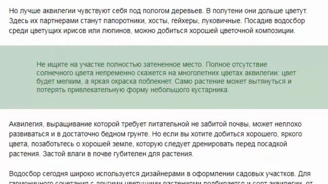 АКВИЛЕГИЯ ИЛИ ВОДОСБОР ОПИСАНИЕ И ВЫРАЩИВАНИЕ