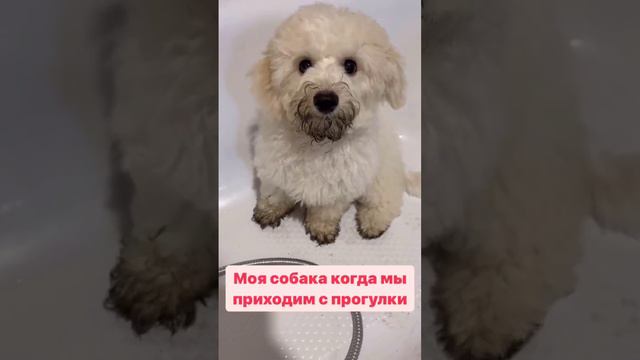 Весна