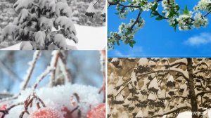 Игорь Слуцкий...МАТЕРИНСКАЯ ЛЮБОВЬ