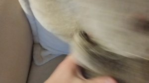 обзор на жизнь Басика♥♥♥