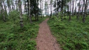 Озеро Белое. Беларусь.