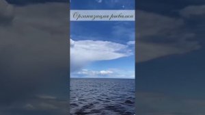 Отдых на Рыбинском водохранилище!