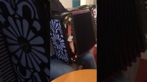 Куликово поле гармонь