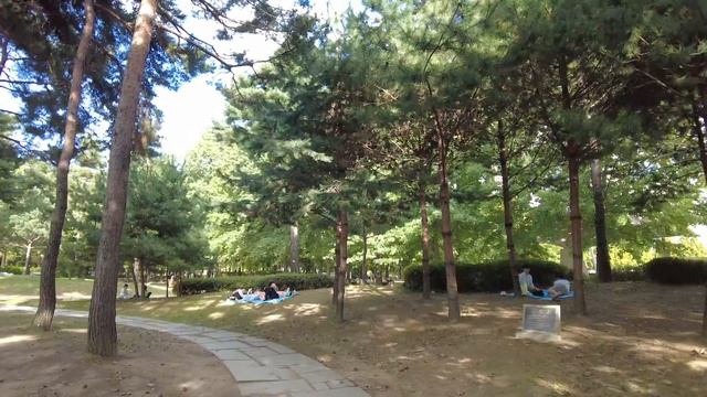 【UHD】 4K Seoul Korea Walk - Seoul Forest Park | Seoul Ambience ASMR (Sep.2021) (EP.173) смотреть онлайн