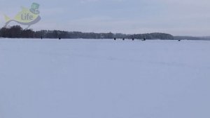 Как прикормить рыбу зимой чтобы клевало даже в непогоду? Как прикормить рыбу зимой+глухозимье