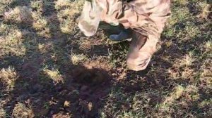 Копаем мерзлую землю