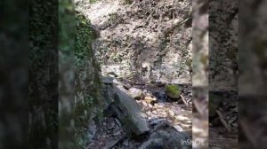 Путешествие в п. Псебай