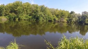 Уклейка на попла-поппер на Дёсенке. Ужи под ногами.