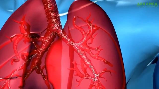 Как правильно пользоваться PARI BOY SX смотреть онлайн