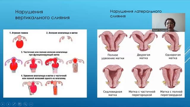 Пороки развития смотреть онлайн