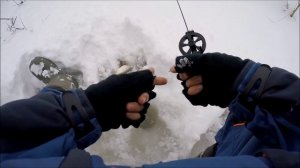 Безмотылка. Ловля плотвы и окуня на малой речке. Часть первая.