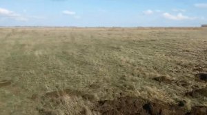 мтз 80 пашем целину 2016 год