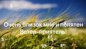 ветер приятель. Караоке. В час когда город ещё видит сны и просыпается солнце