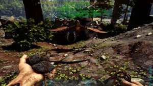 Диморфодон Dimorphodon в АРК Лучший обзор приручение, разведение и способности в ark