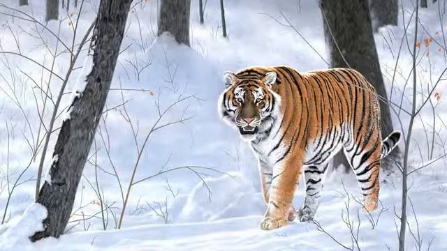 Пятнистые и полосатые смотреть онлайн