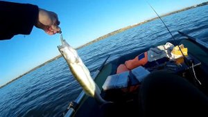 Рыбалка на Сенеже в октябре