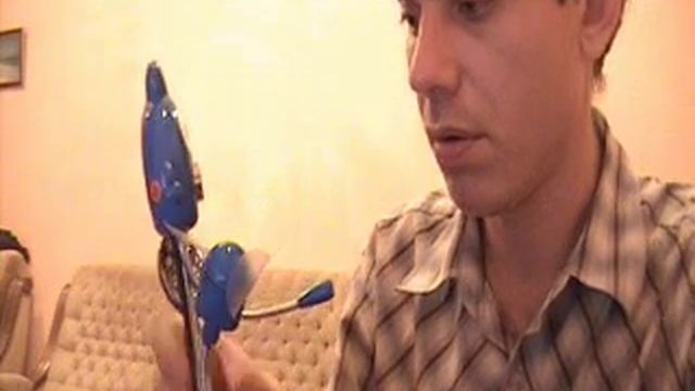 Видео с веб-камеры # 1 смотреть онлайн