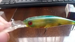 2023 Bait for walleye and perch for spinning
