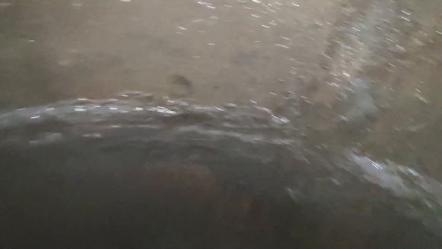 Podkapaev.ru Снт "Заповедное", уже ездим сюда, как к себе на дачу. смотреть онлайн