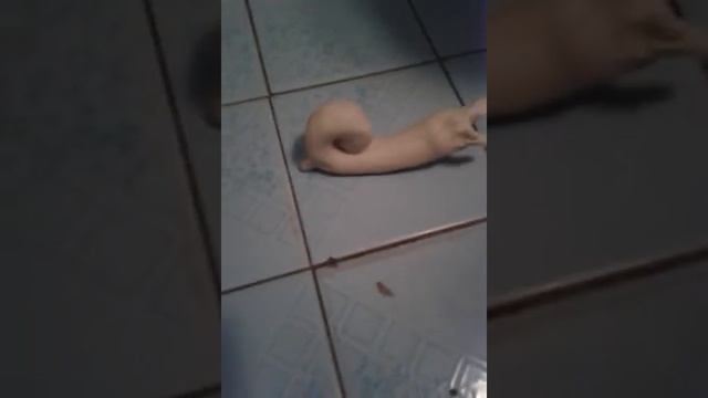 пластилин для лепки сделать из муки соли и Воды смотреть онлайн