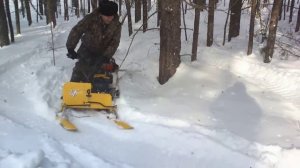 Миниснегоход повышенной проходимости "Рыбак2М  в лесу
