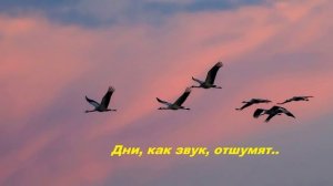 Дни, как звук, отшумят...
