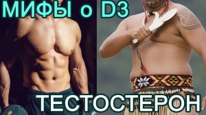 Жиросжигающий D3, кубики на животе и тестостерон