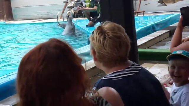 Абхазия //Дельфинариум Дельфины поют смотреть онлайн