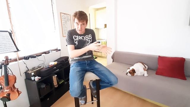 Наша рутина. Взрослая собака. Бульдог 6 лет. смотреть онлайн