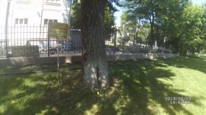 Памятник природы: объясняю на пальцах