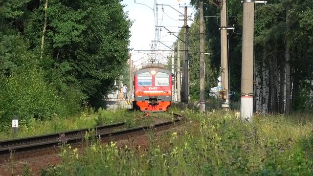 ЭД4М-0384 сообщением Санкт-Петербург — Белоостров делает остановку на о.п. Ольгино смотреть онлайн