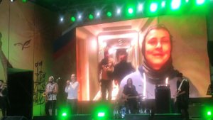 Батальон "Донбасс-палас"! Юлия Чичерина на концерте в честь 320-и летия Кронштадта.