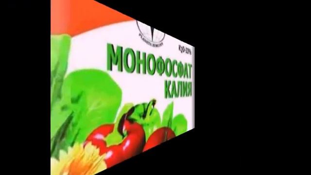 Всего два вида подкормки и рассада стала расти как реактивная