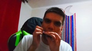 Erika - German Folk Song on Hohner SilverStar harmonica cover