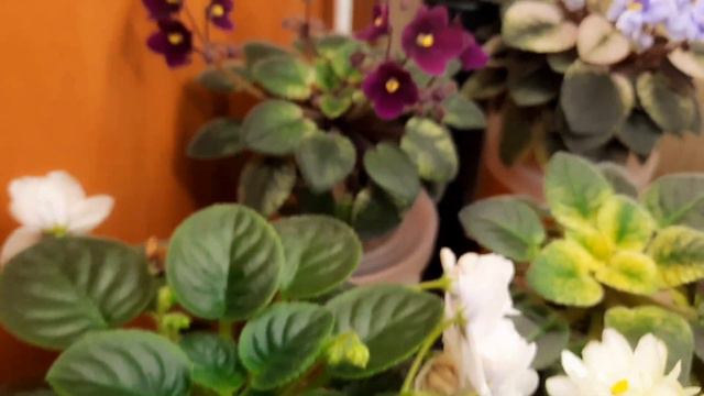 Канал Женские Секреты теперь на Яндекс Дзен😍🙏🌹https://zen.yandex.ru/id/608a6e049d681f33a9aaae5f смотреть онлайн