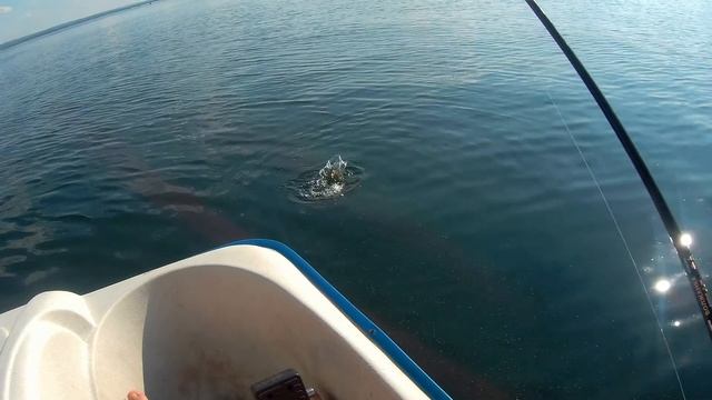 СУПЕР КЛЕВ!!! РЫБАЛКА НА ОЗЕРЕ АРАХЛЕЙ!!! смотреть онлайн