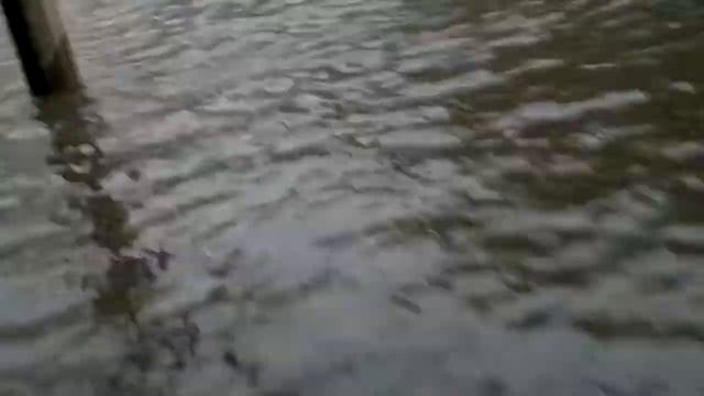 ПОТОП машинки плывут смотреть онлайн