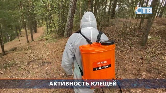 30.10.2023 В Ленобласти подвели итоги сезона активности клещей. смотреть онлайн