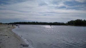 Станица раздорская река дон ловля донской селедки 2021г.