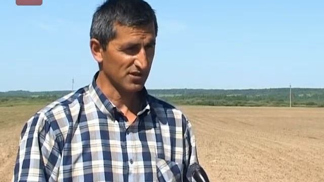 Сельское хозяйство в Любытино набирает обороты