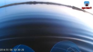 Как ловить раков на ХЛЕБ С ЧЕСНОКОМ