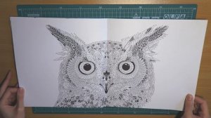 Раскраска Нетронутая красота / Обзор и раскрашенные страницы