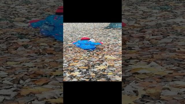 VID_20221009_134349.mp4 смотреть онлайн