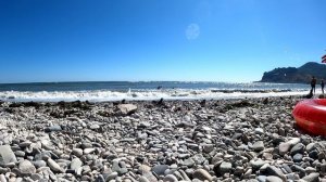 на пляже Коктебель много воробьев