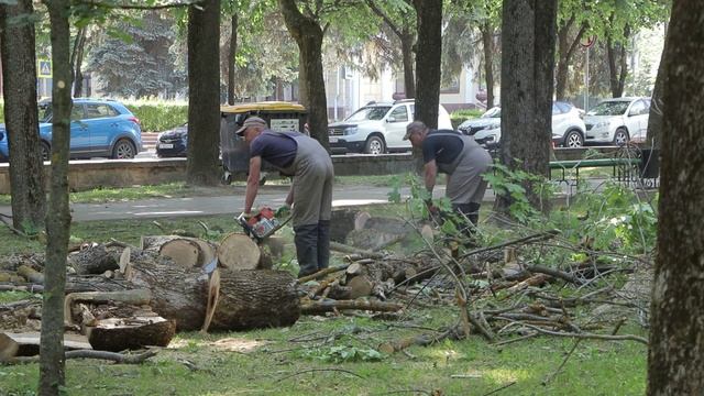 МБУ «Зеленстрой» продолжает облагораживать город