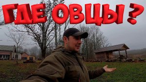 ПОТЕРЯЛИСЬ БАРАШКИ ! МЯГКИЕ ОКНА В БЕСЕДКУ ГОТОВЫ  ! [Жизнь в деревне]
