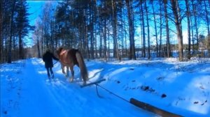 ЛЕСНОЙ ХУТОР КАТЕРИНА ПОРАДОВАЛА КРАСИВЫМИ ВИДЕО