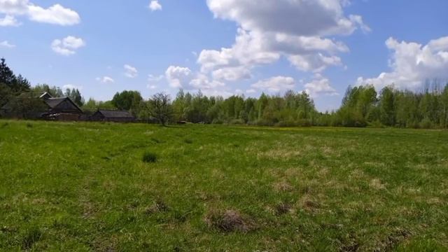 Диана Строгая/ Обокрали работники и отличные условия